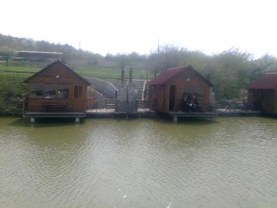 Прикрепленное изображение: Фото0099.jpg